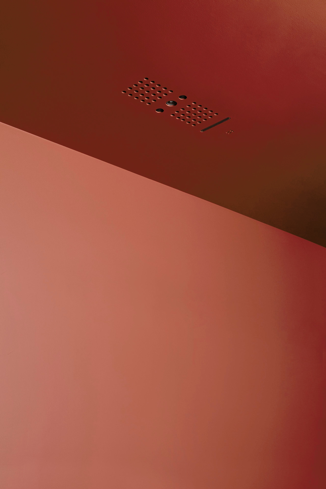 Ghost_COMBI Ceiling Shower System, view 3