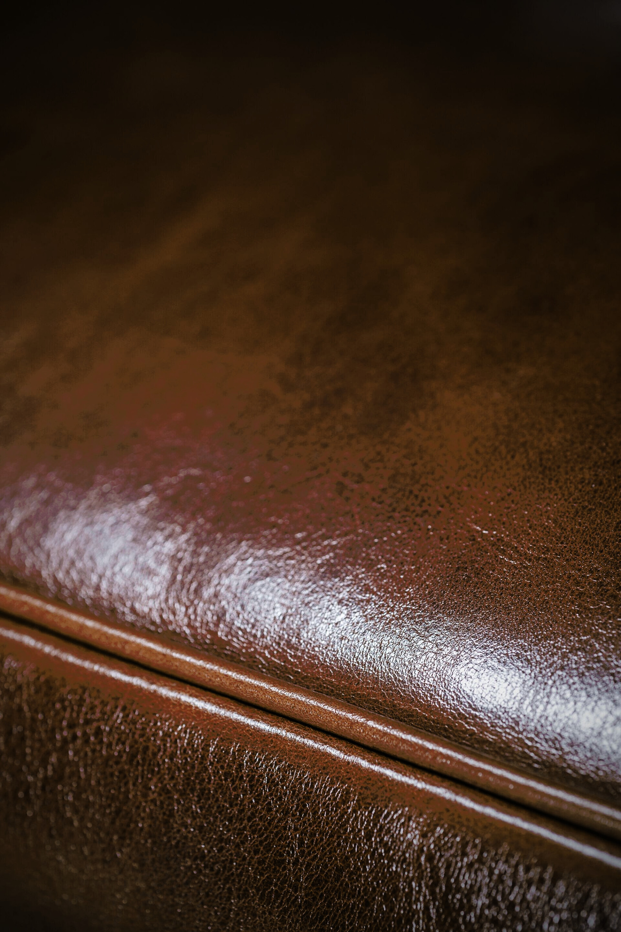 Graz Leather Armchair, view 4