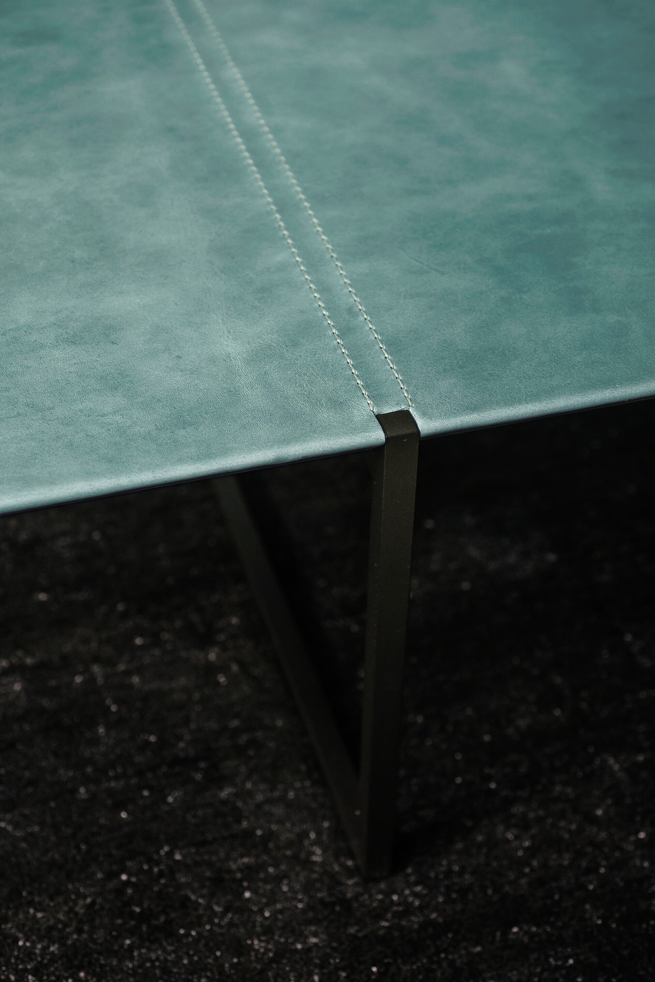 Icaro Leather, view 5
