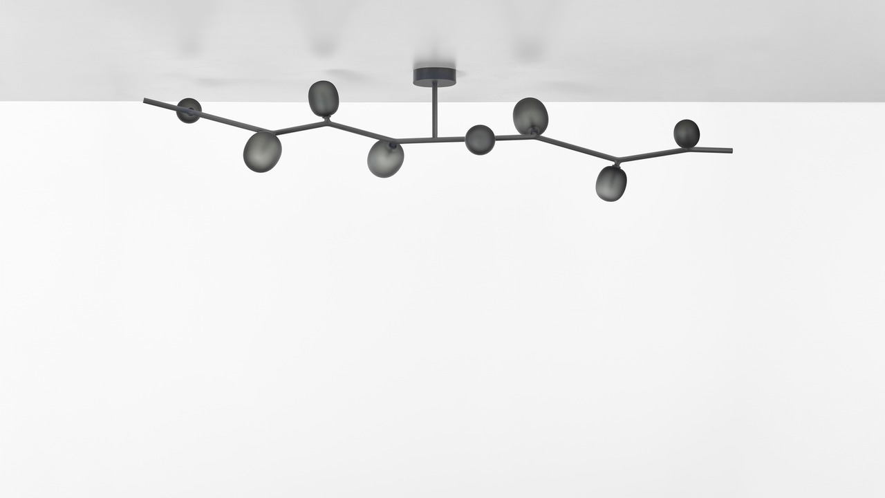 Ivy ceiling light system