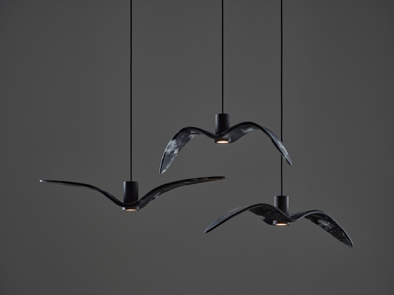Night Birds Exterior, view 22