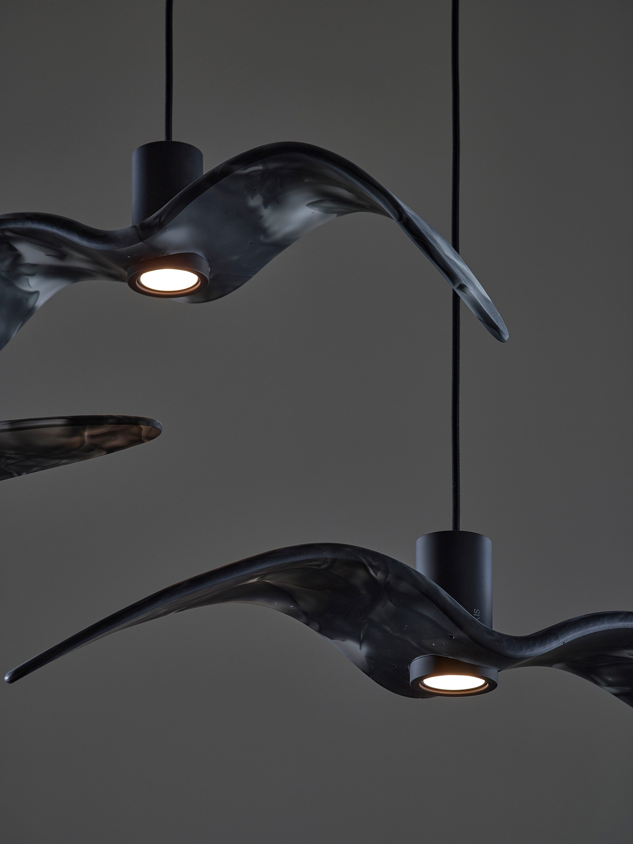 Night Birds Exterior, view 30