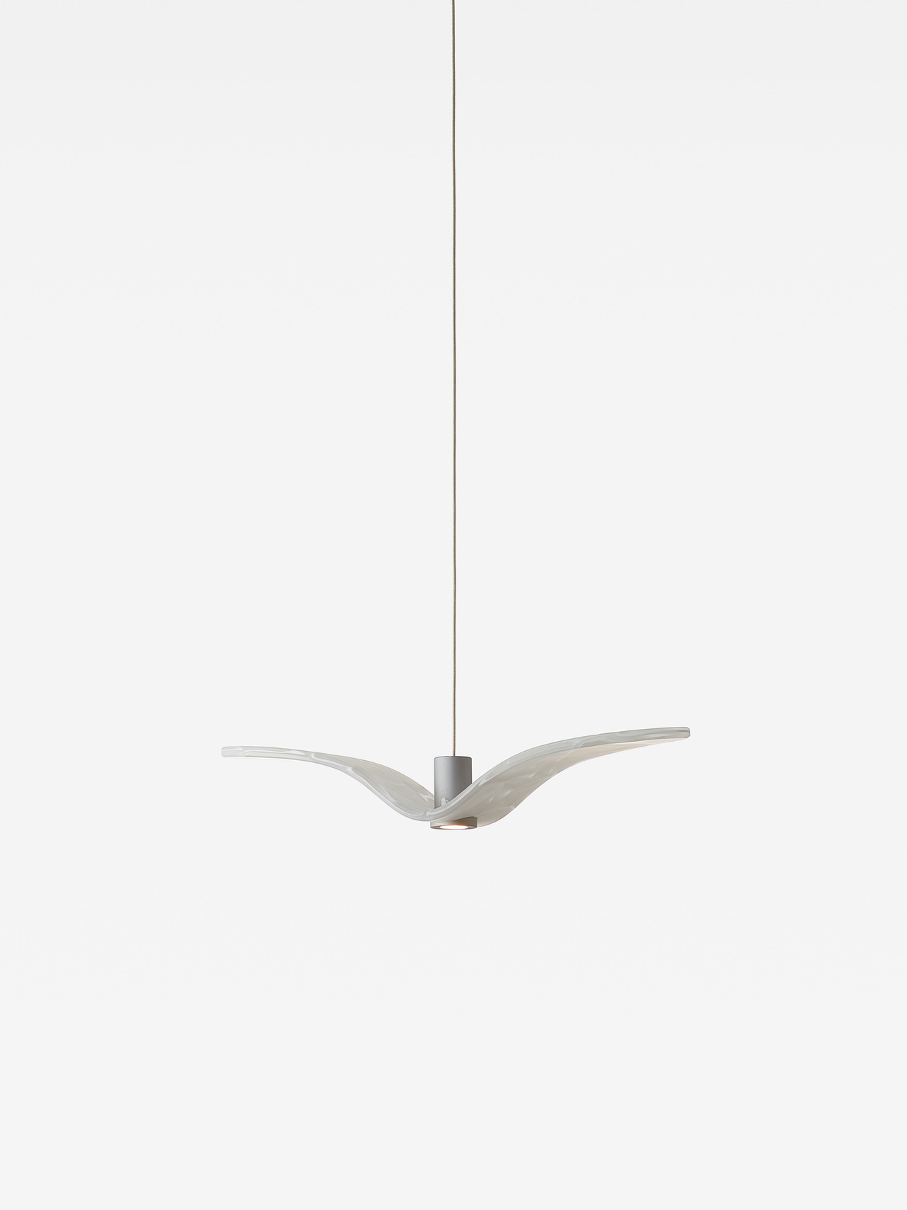 Night Birds MINI, view 11
