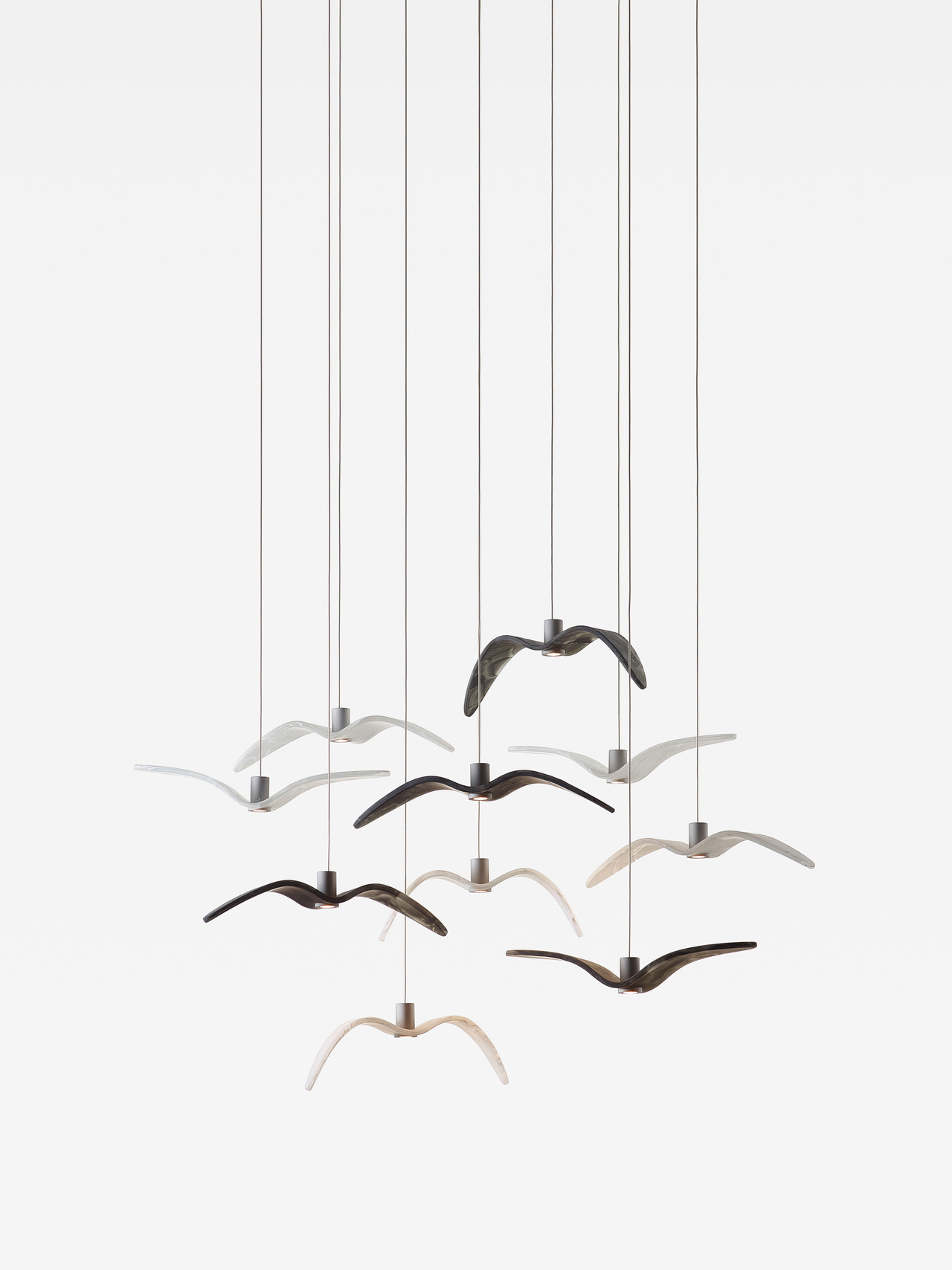 Night Birds MINI, view 14