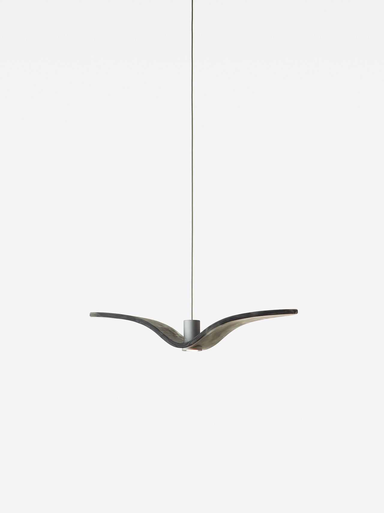 Night Birds MINI, view 15