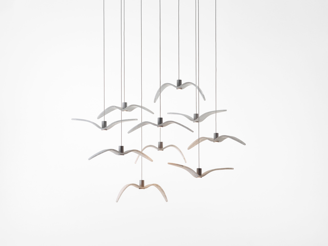 Night Birds MINI, view 5