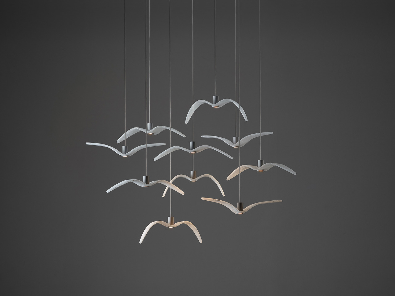 Night Birds MINI, view 6