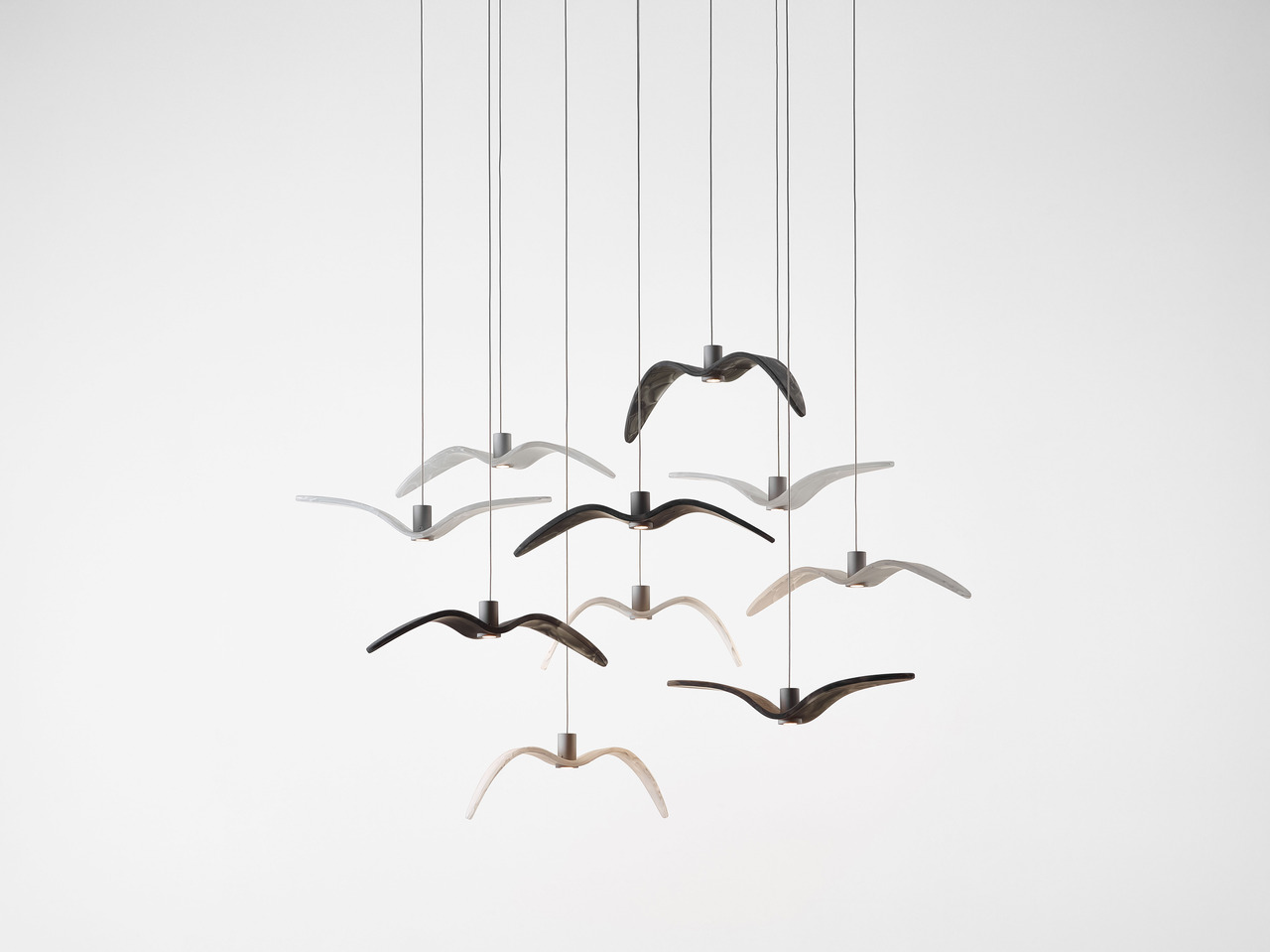 Night Birds MINI, view 9