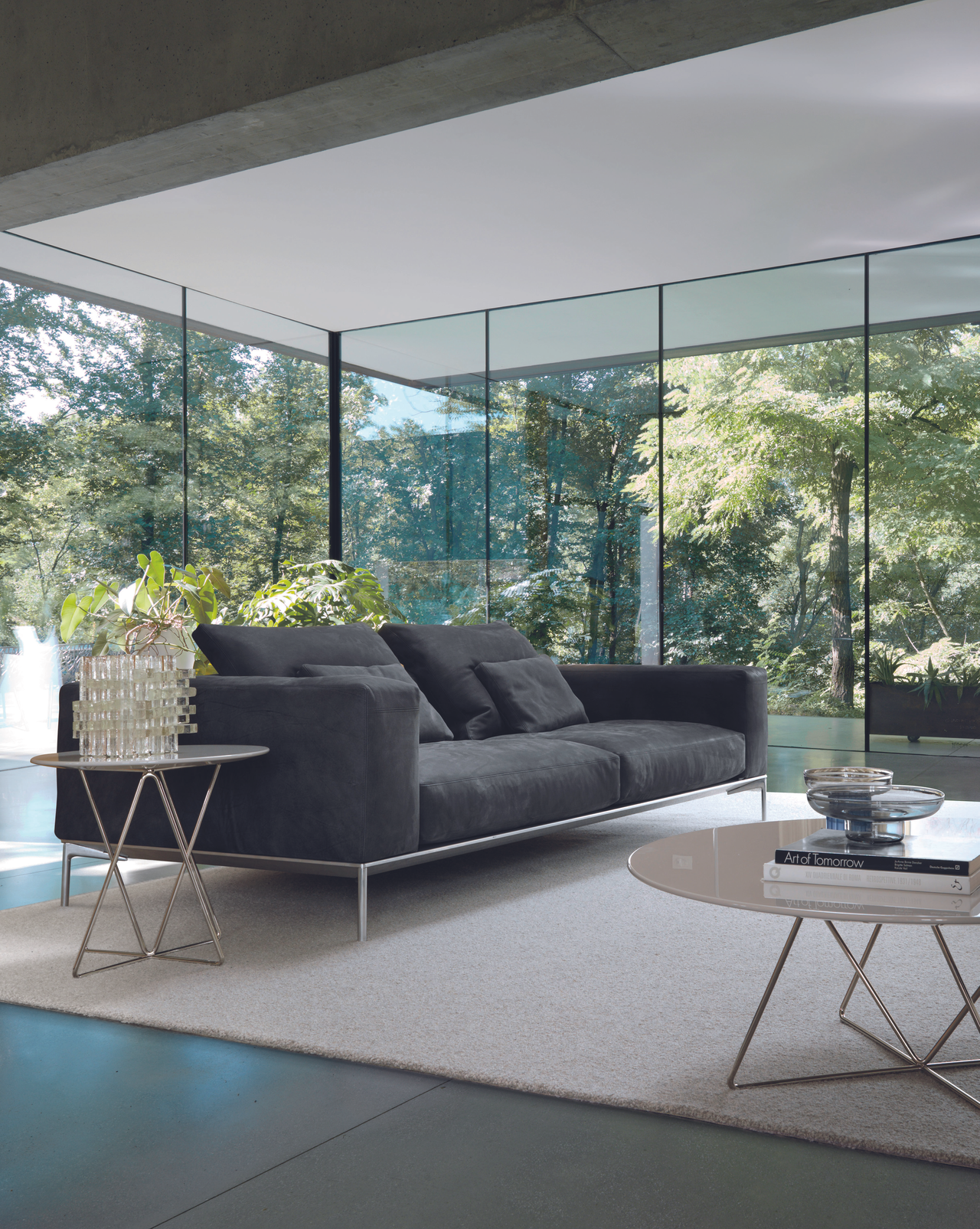Savoye Desiree, view 6