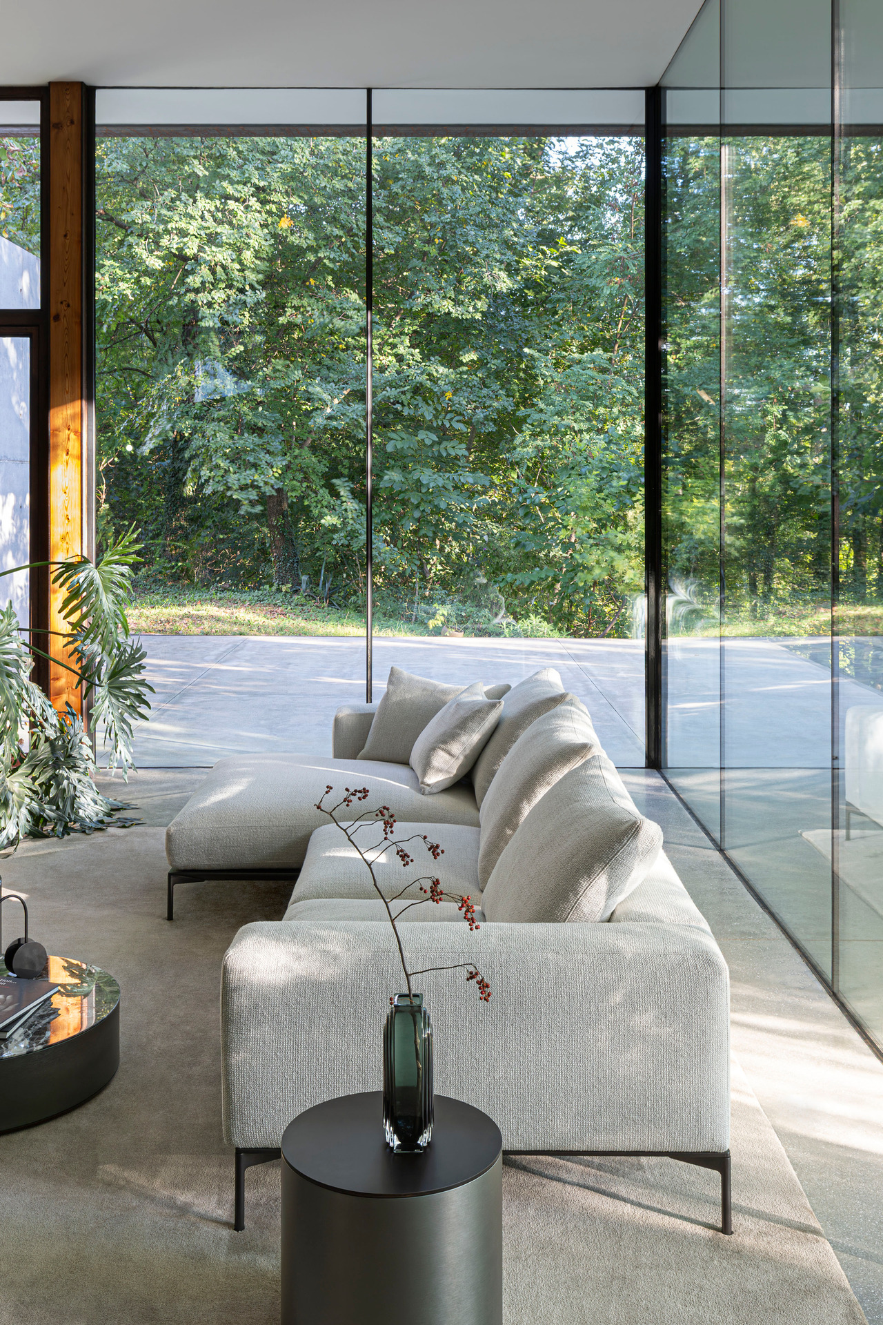 Savoye Desiree, view 7