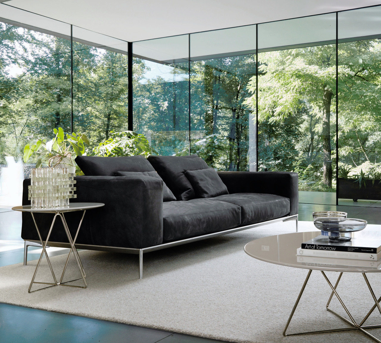 Savoye Desiree, view 28
