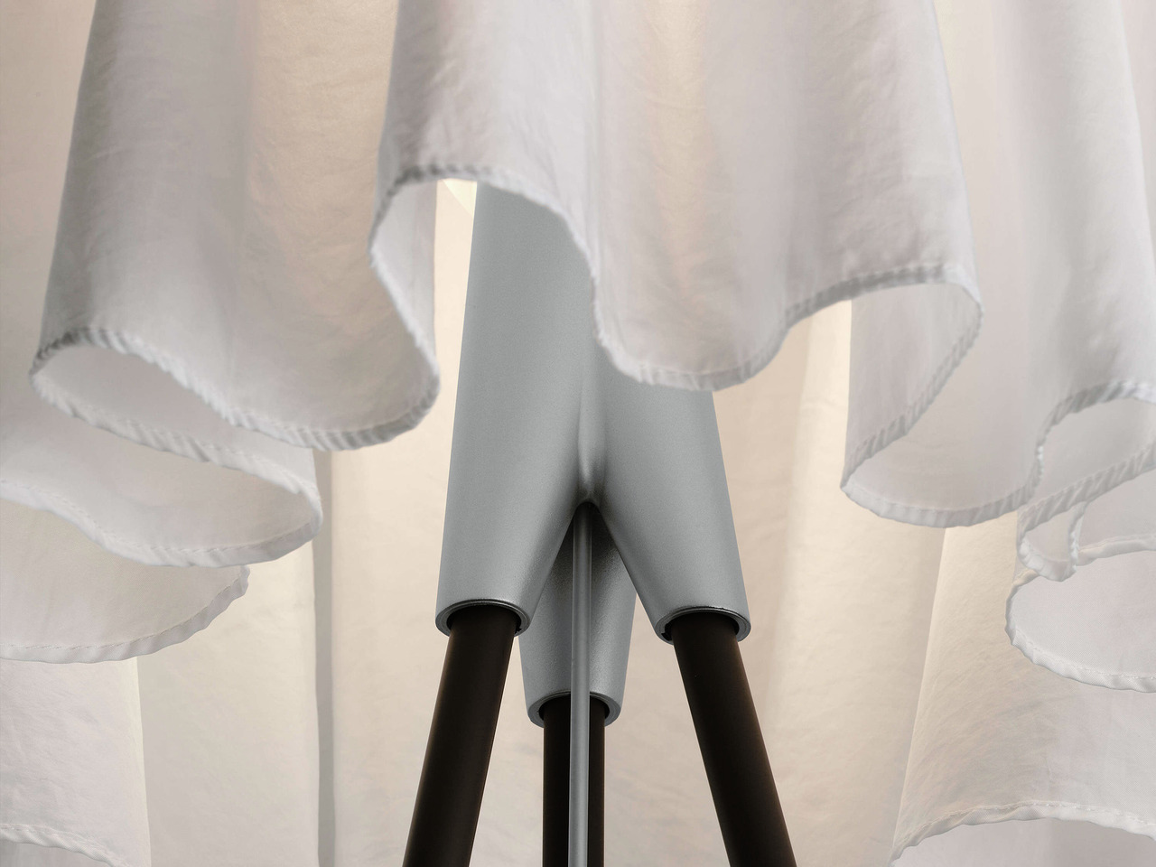 Rosy Angelis Flos, view 2