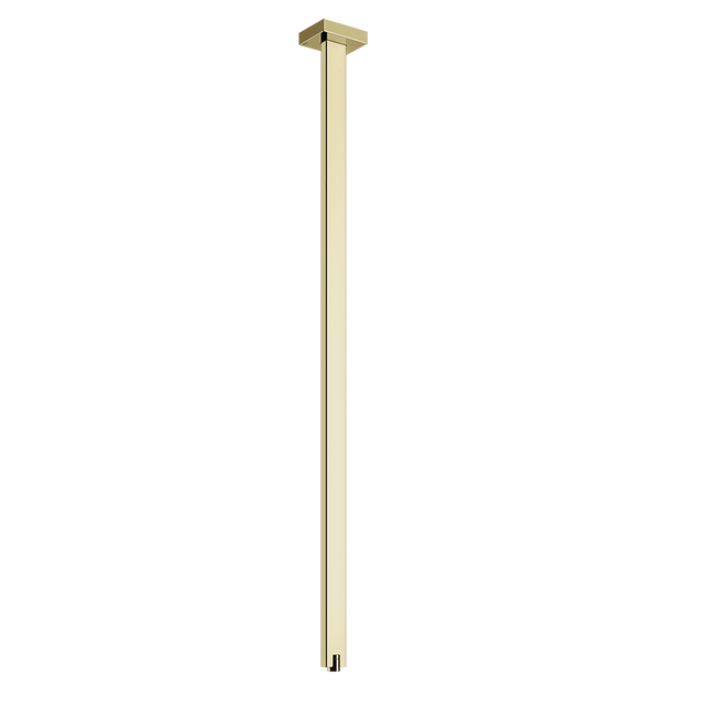 BRASS PVD
