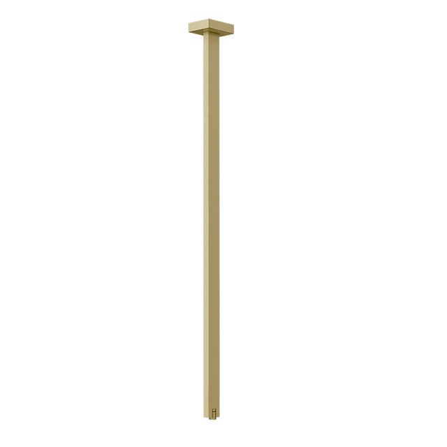BRASS BRUSHED PVD