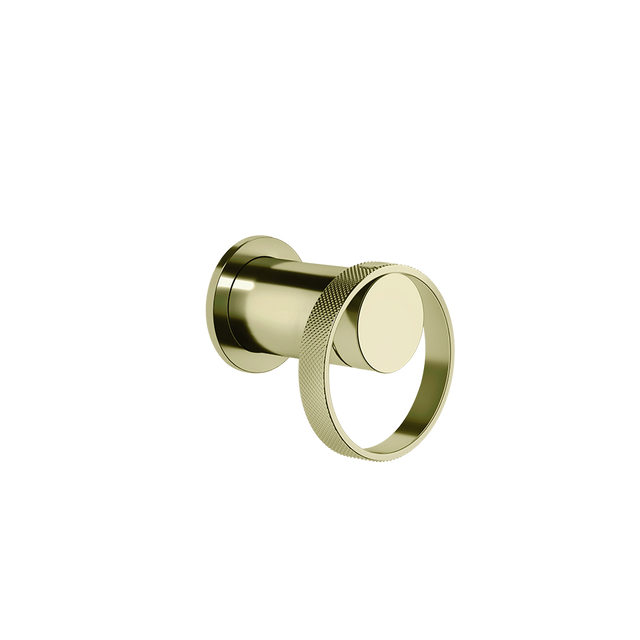 BRASS PVD