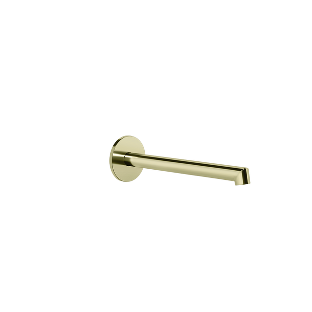 BRASS PVD
