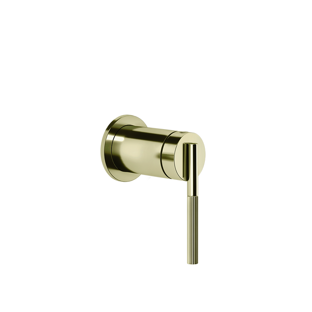 BRASS PVD