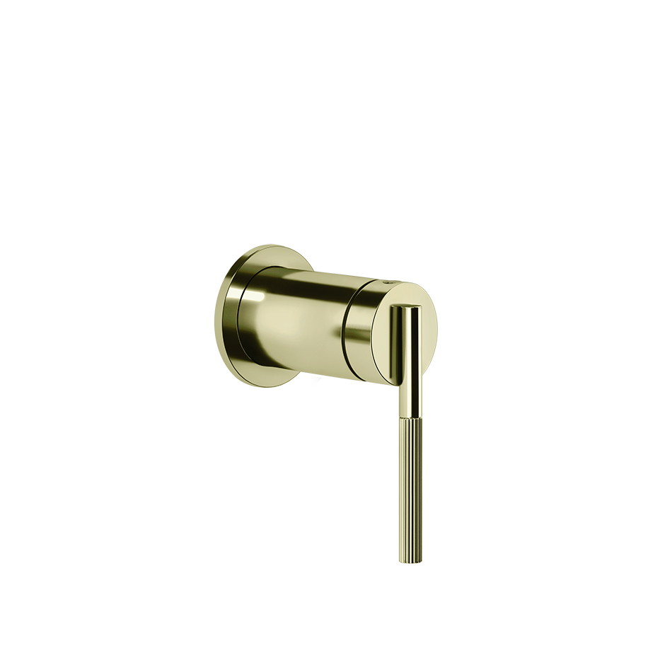 BRASS PVD