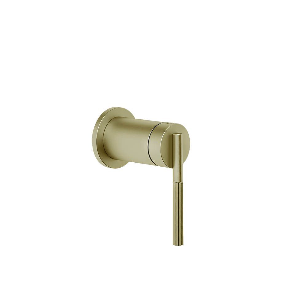 BRASS BRUSHED PVD