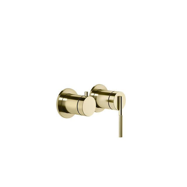 BRASS PVD