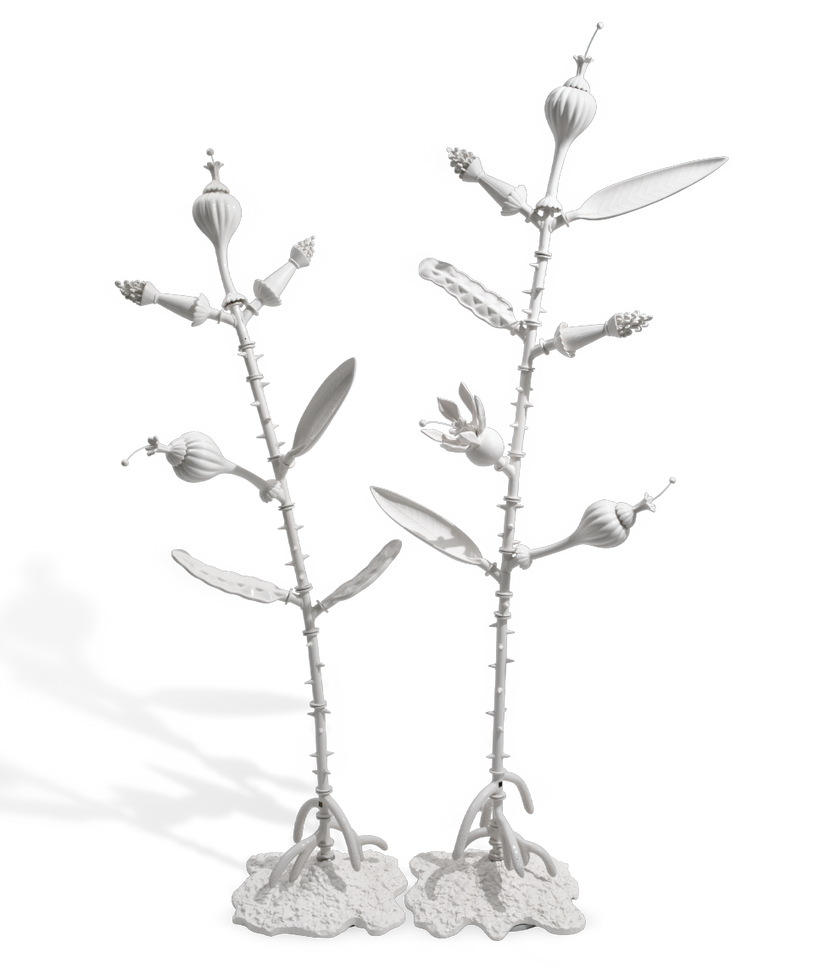 Amazonia Decorative Object by Giorgetti