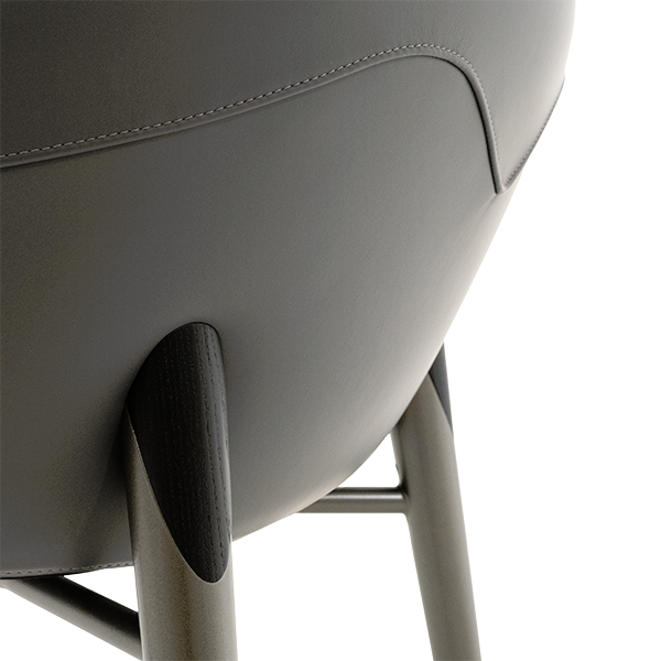Aphira Chair by Giorgetti, view 3