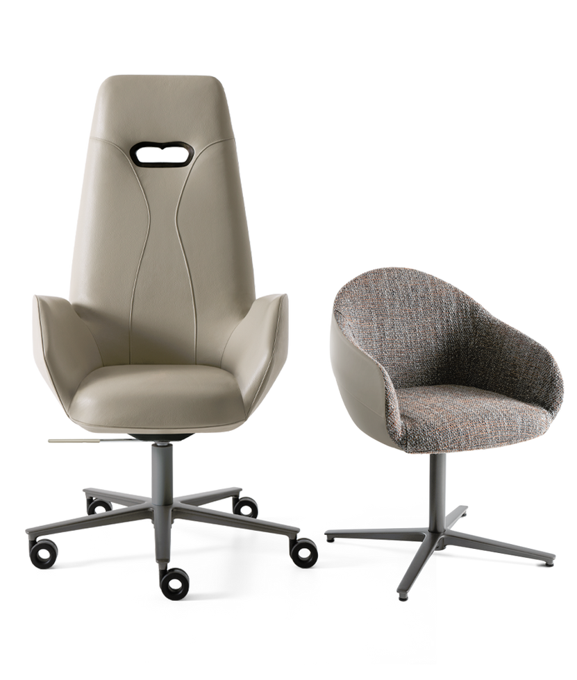 Aphira Armchair by Giorgetti