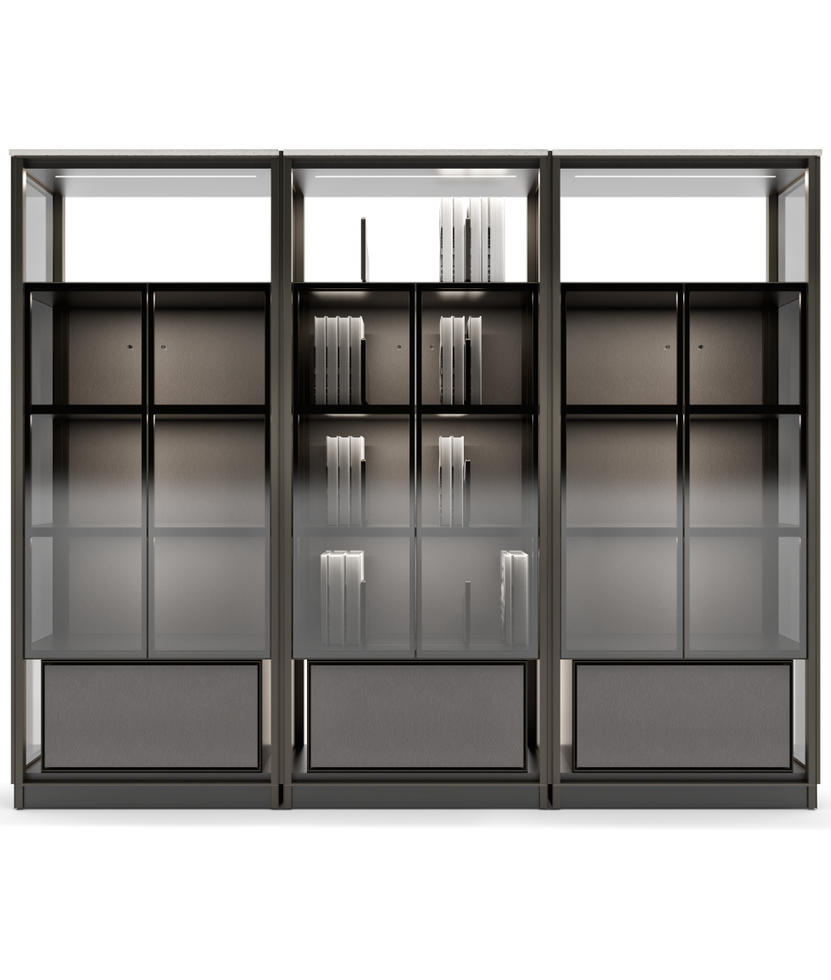Domus Bookcase by Giorgetti