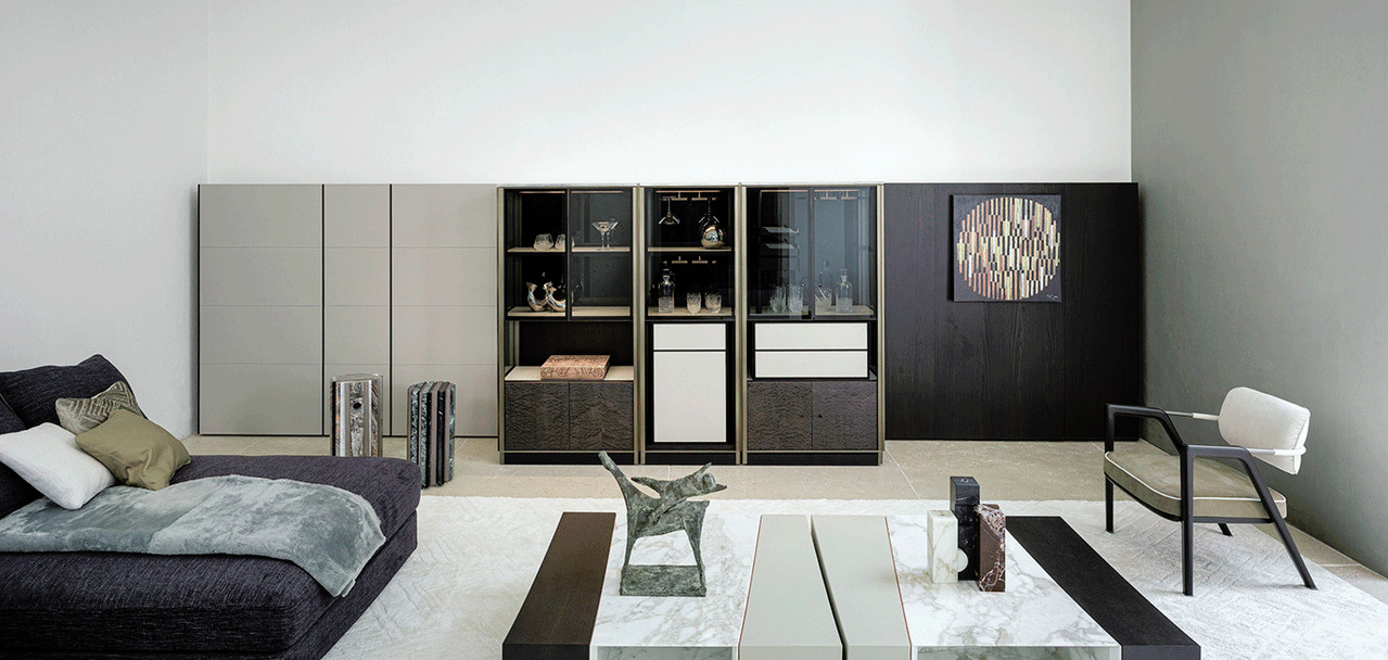 Domus Bookcase by Giorgetti, view 2