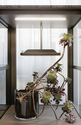 Domus Bookcase by Giorgetti, view 14
