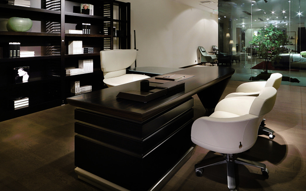 Selectus Chair by Giorgetti, view 2