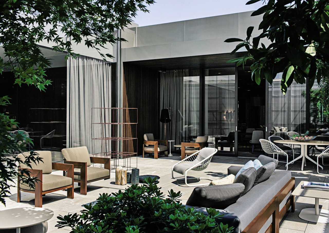 Alison iroko, view 6