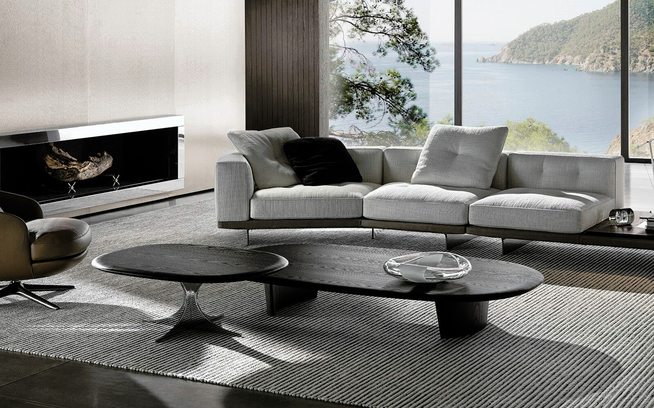 Anish Wood Minotti Coffee Table