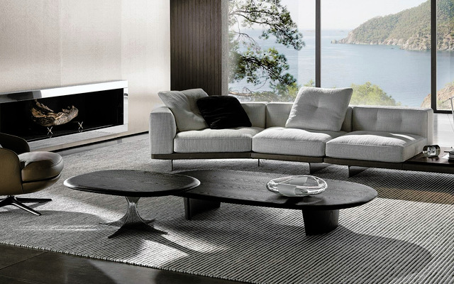 Anish Wood Minotti Coffee Table