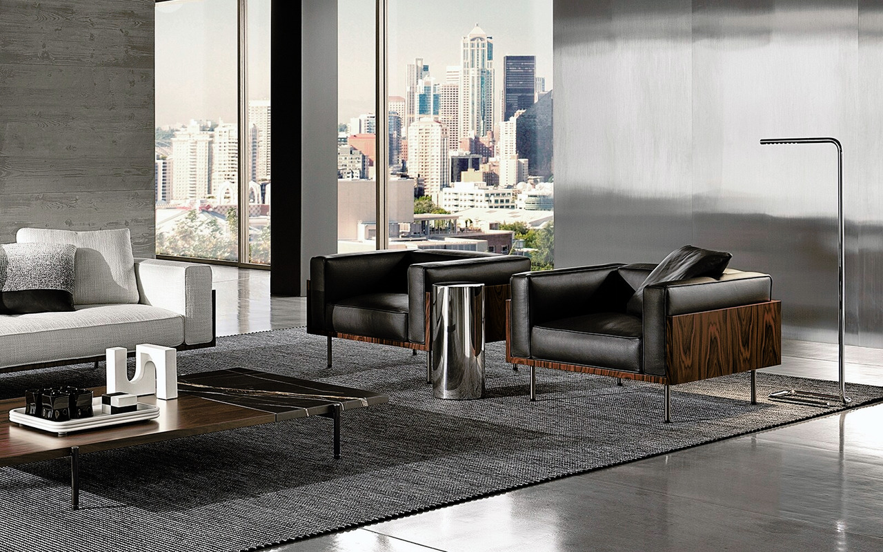 Brasilia Armchair, view 2