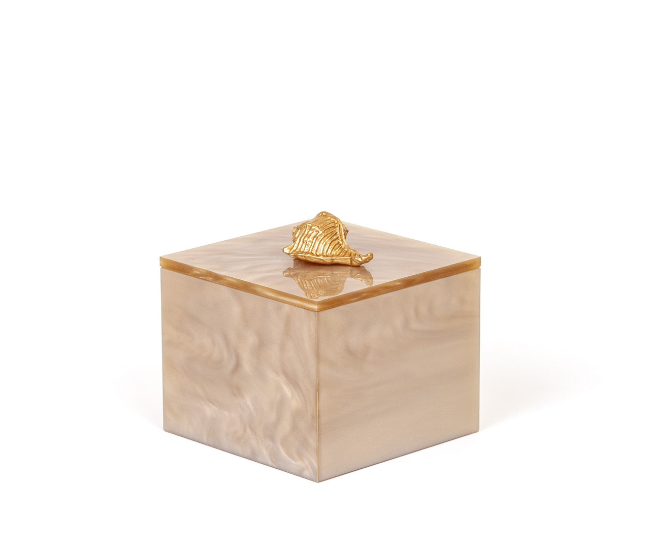 Square Bea Cotton Pad Container