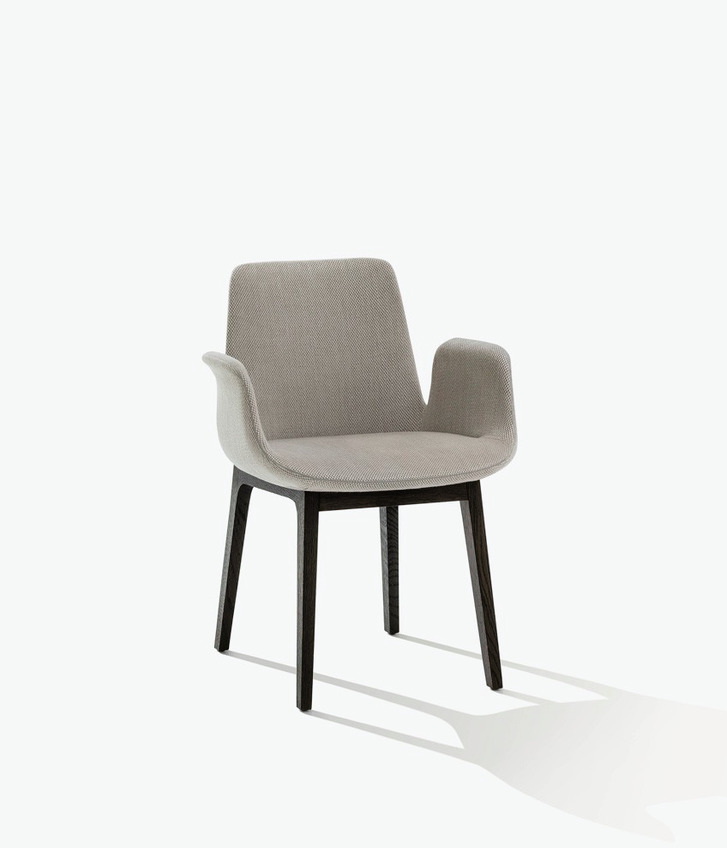 Ventura Armchair, view 2