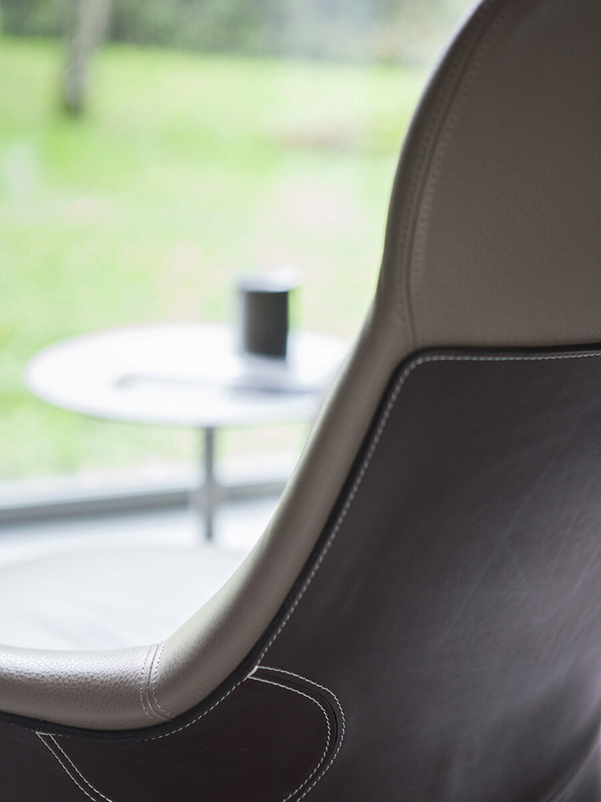 Assaya Armchair by Poltrona Frau, view 5