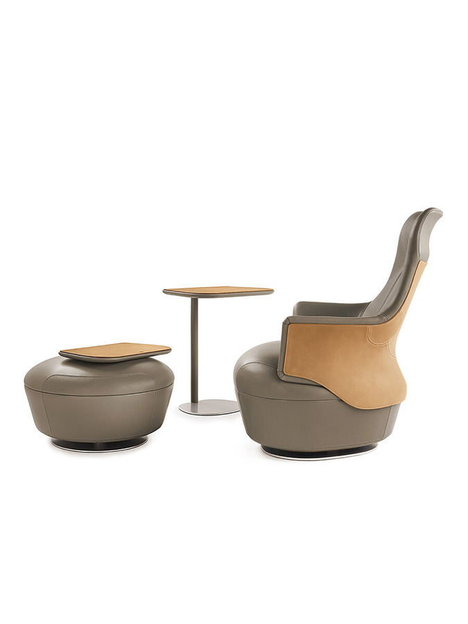 Assaya Armchair by Poltrona Frau, view 18