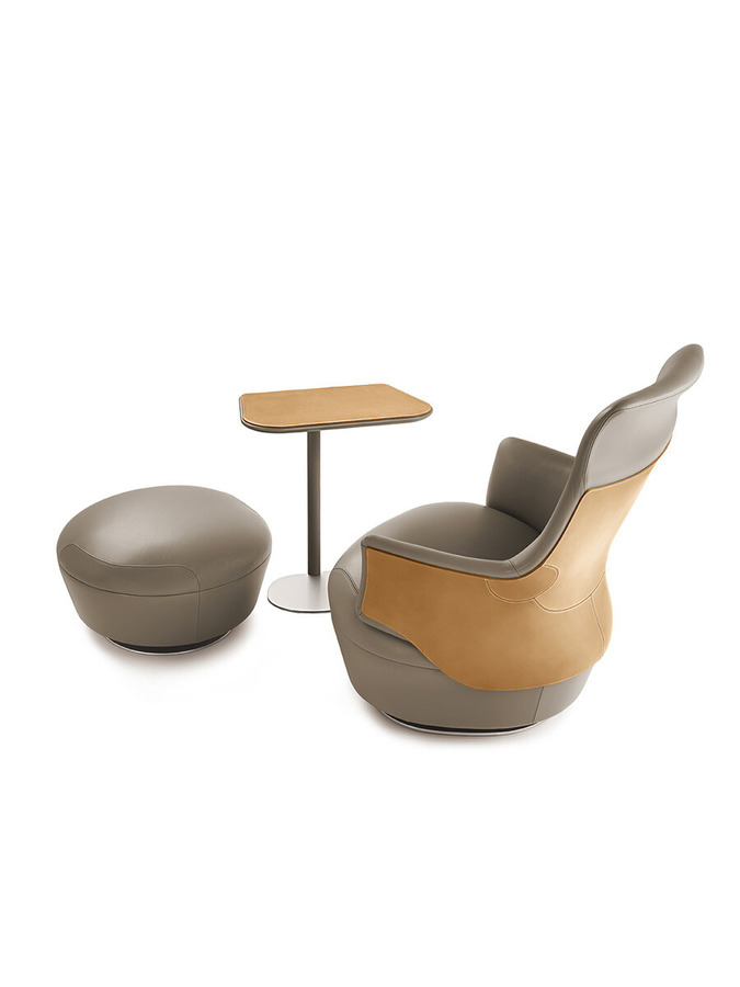 Assaya Armchair by Poltrona Frau, view 19