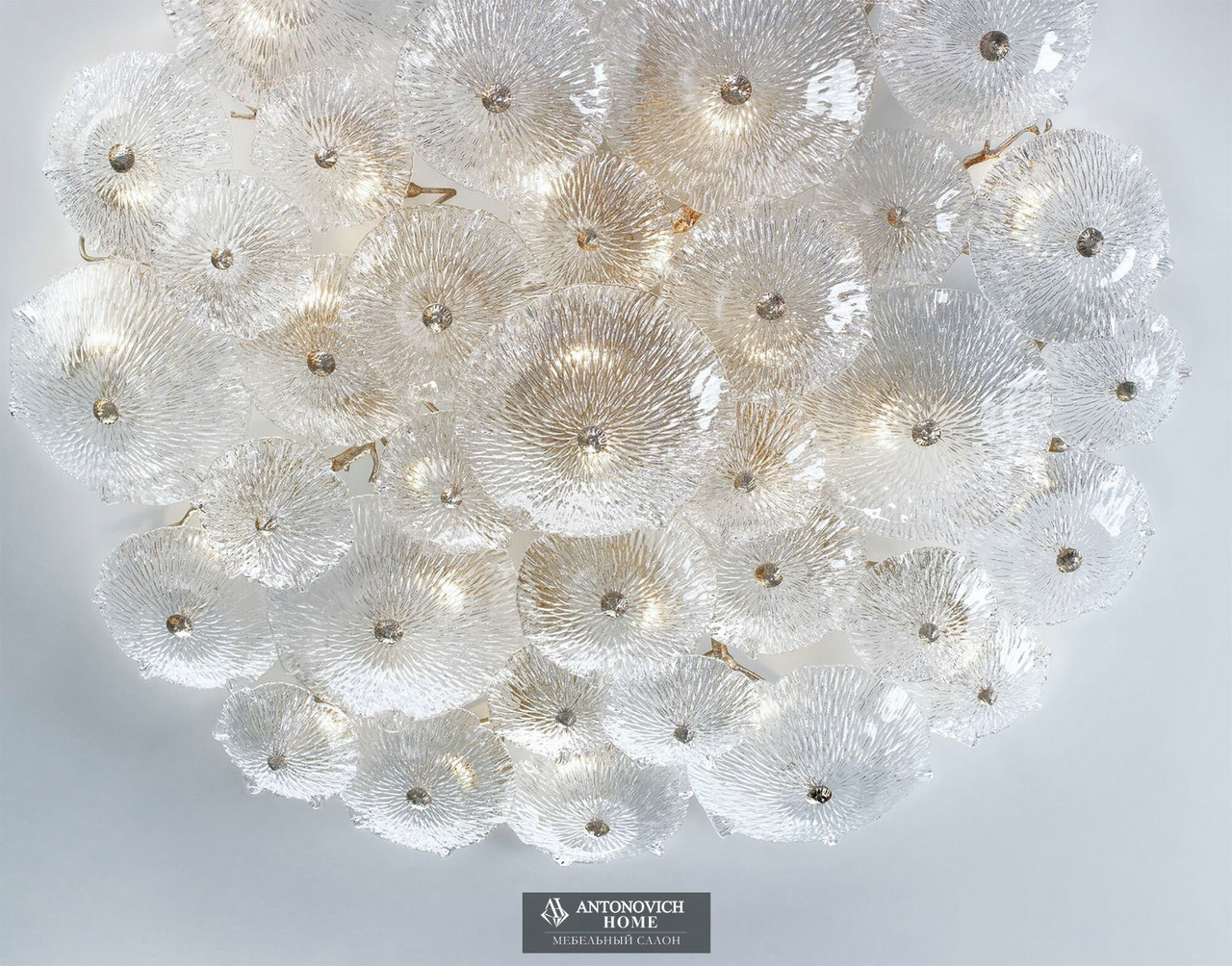 Serip Nenufar Chandelier Collection, view 3