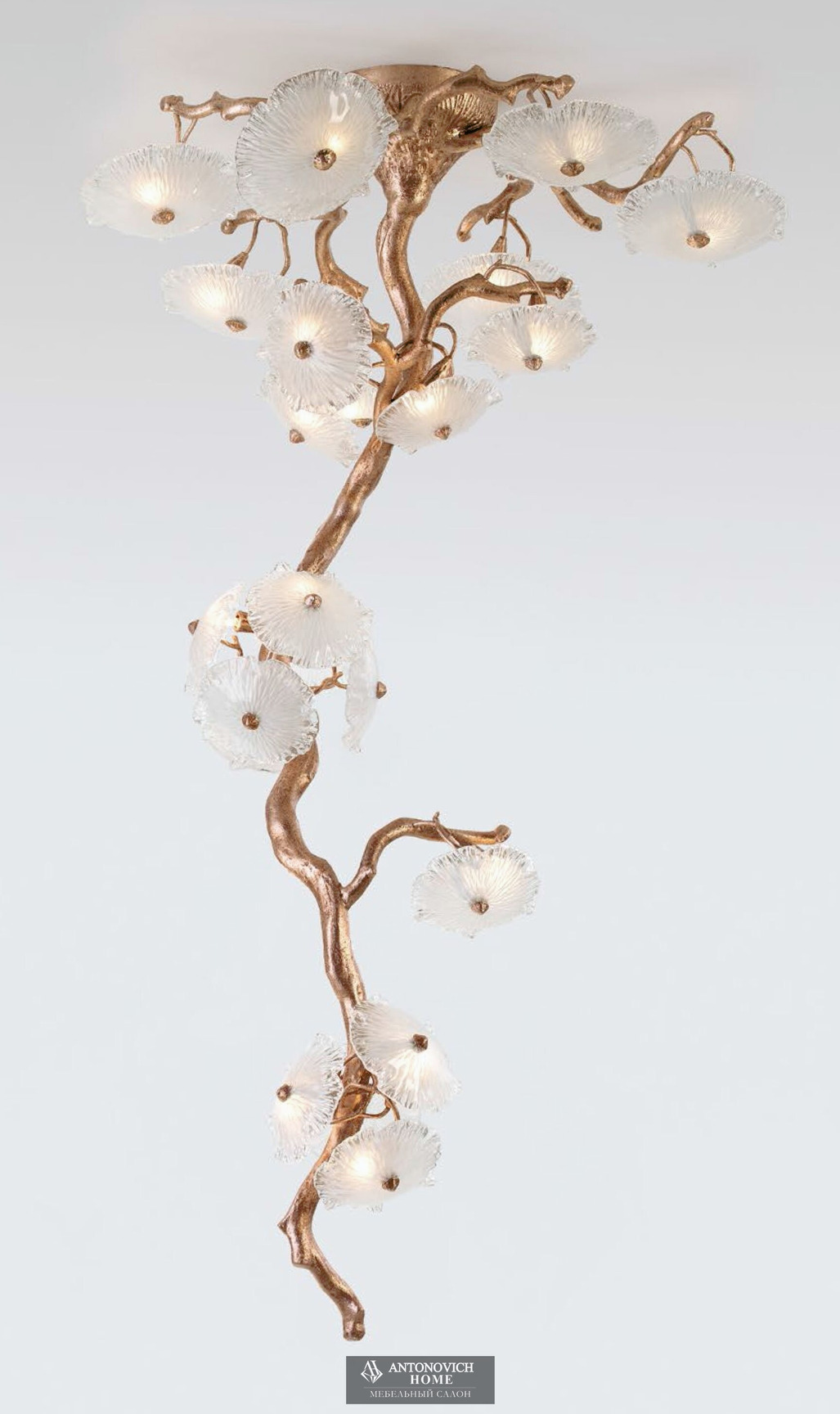 Serip Nenufar Chandelier Collection, view 5