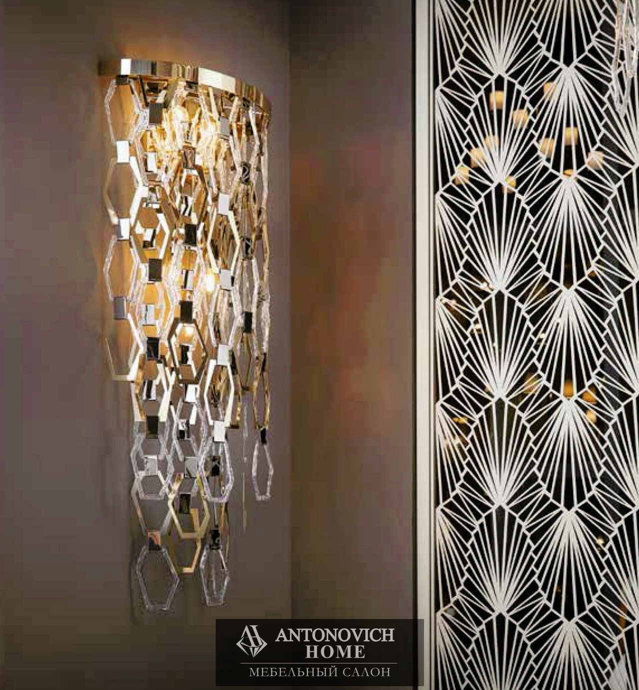 Lorenzon Cassiopea Collection, view 4
