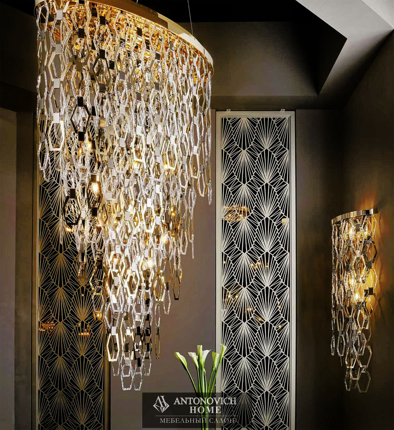 Lorenzon Cassiopea Collection, view 5
