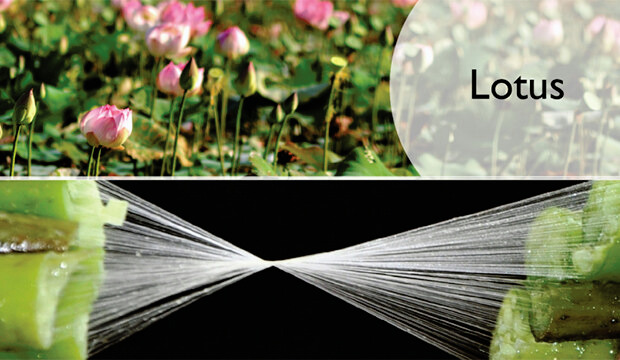 Loro Piana Lotus Flower®